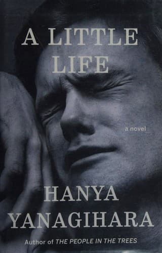 Cover of A Little Life