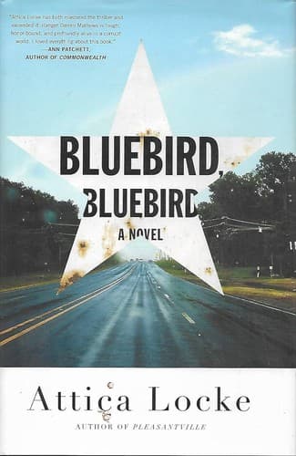 Bluebird, Bluebird