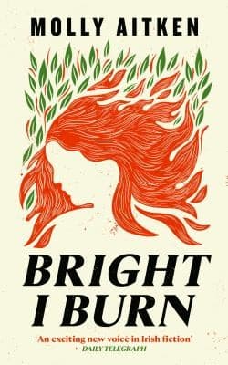 Cover of Bright I Burn