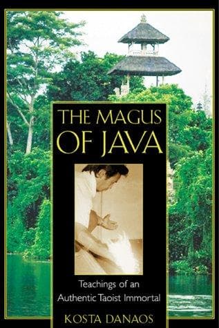 Cover of The Magus of Java
