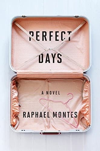 Cover of Dias perfeitos